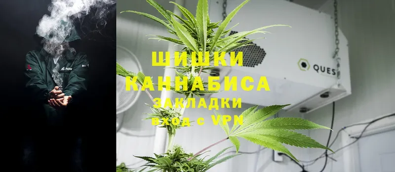 купить наркоту  Остров  Шишки марихуана White Widow 